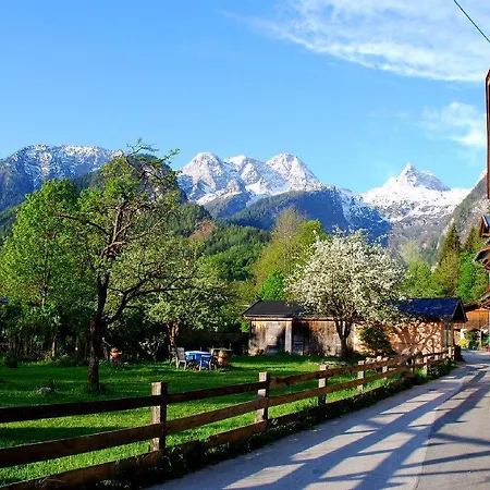 Haus Stainer Apartmán *