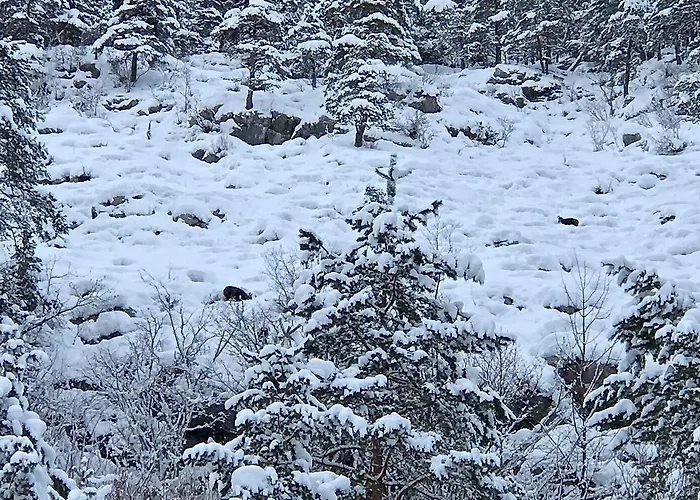 Haus Stainer * Lofer